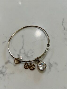 Alex and Ani Silver-Tone Charm Bangle with Clear Crystal Charm